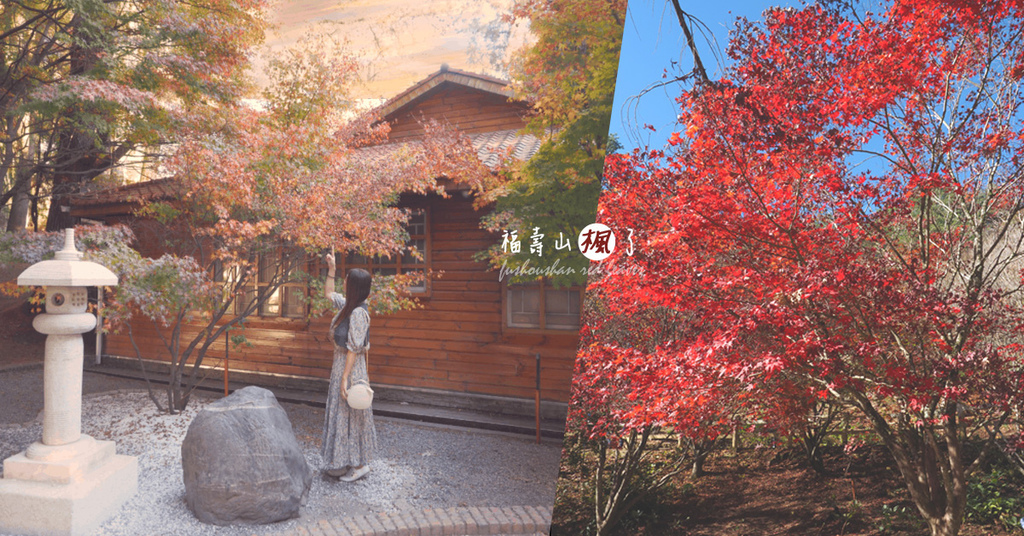 福壽山楓葉季 松廬掌葉楓 上帝的調色盤 媲美日本京都的楓紅 @蔣妮の冰斗人生